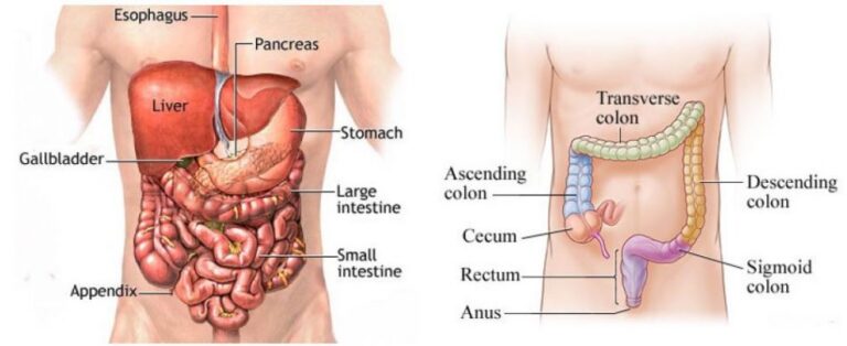 Colorectal resection