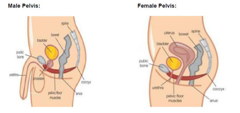 Bowel and Bladder Preparation for Radiotherapy to the Pelvis