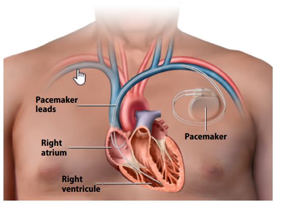 Cardiovascular Health Symposium 2026