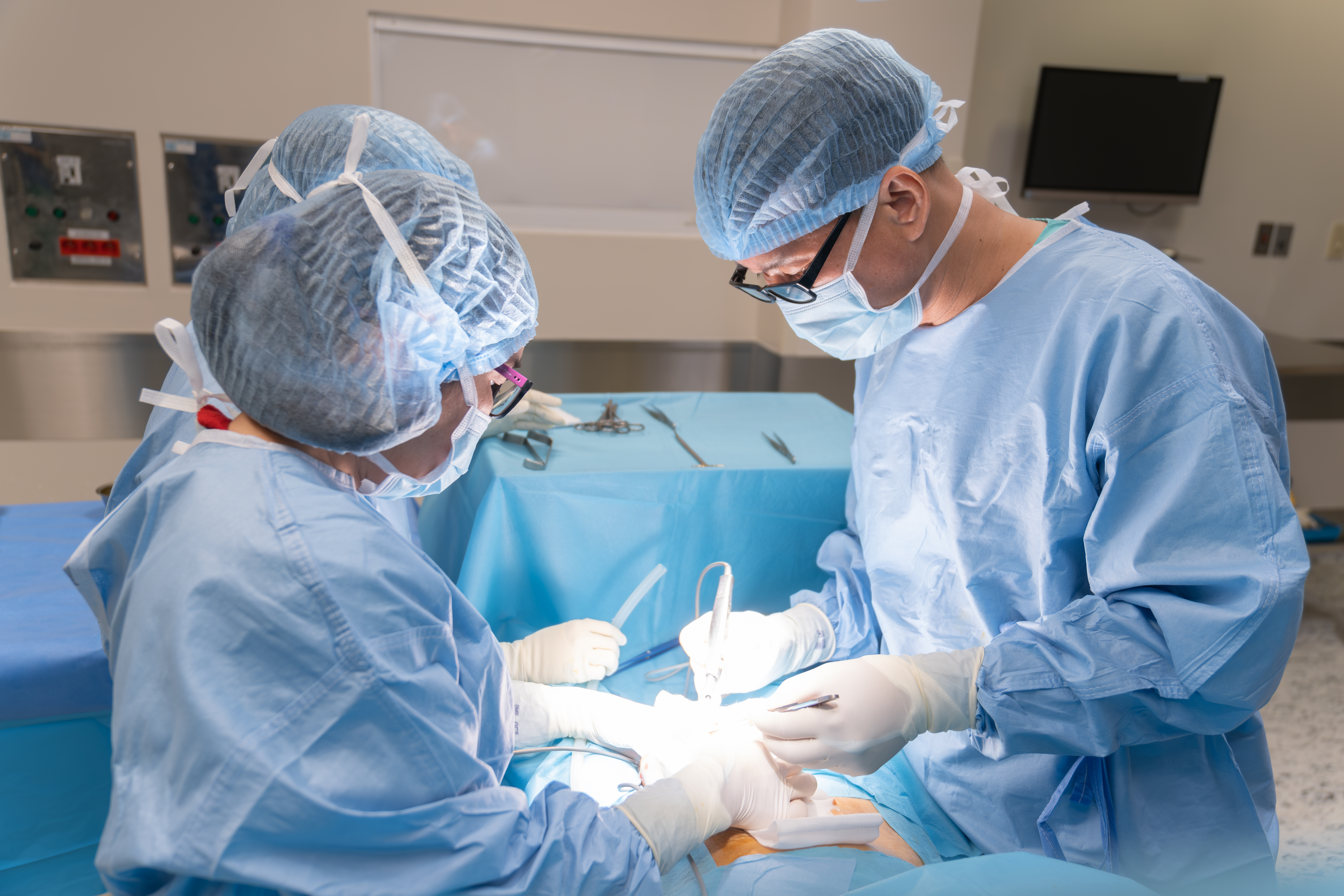 Urology & Andrology