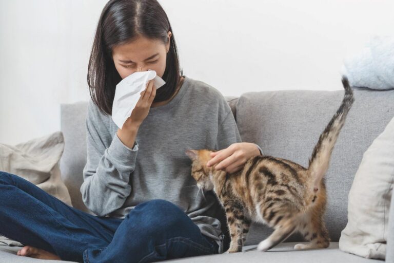 7 dấu hiệu viêm xoang mũi dị ứng dễ bị nhầm lẫn